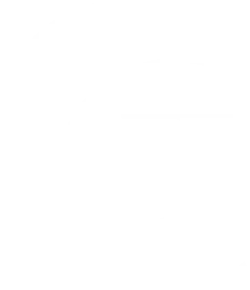 mg logo